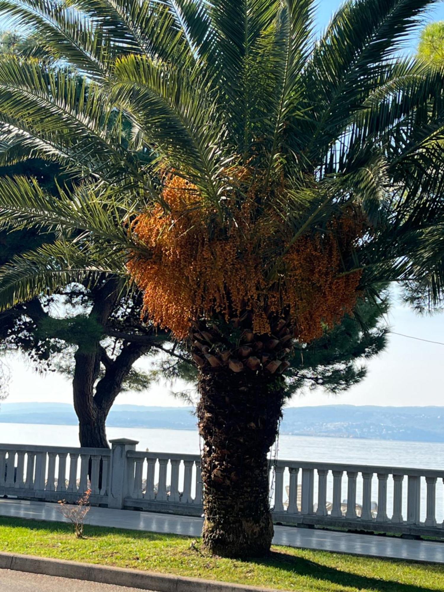 Crikvenica Right On The Beach Ngoại thất bức ảnh